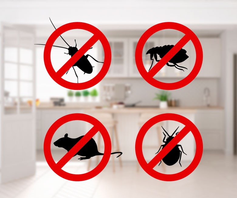 Fumicom Pest Control Control De Plagas