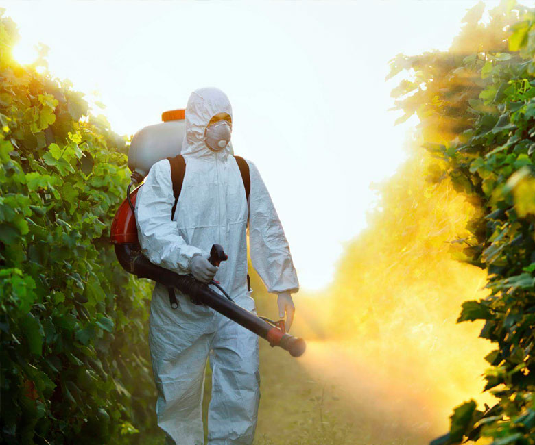 control de plagas, fumigación y desinfección, fumigador, queretaro, qro, plaga cucarachas, plaga termitas, plaga ratas, plaga termitas, plaga chinches, fumigaciones en queretaro, fumigador queretaro, plagas urbanas, fumigación edificios