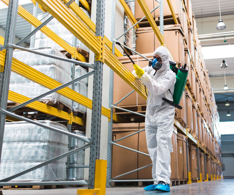 control de plagas, fumigación y desinfección, fumigador, queretaro, qro, plaga cucarachas, plaga termitas, plaga ratas, plaga termitas, plaga chinches, fumigaciones en queretaro, fumigador queretaro, plagas urbanas, fumigación edificios